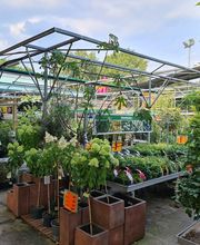 HORNBACH Tuincentrum Groningen afbeelding 1