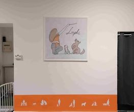 Hundezentrum Lapki Bild 14