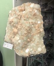 Everything Just Rocks image 11