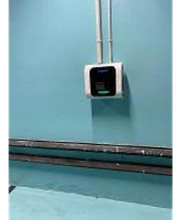 Wenea imagen 2