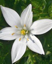 Etincelle Santé Bild 6