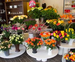 Blumen Barrey Bild 7