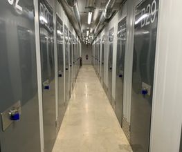 232202473-1-hzDuneW1RG1723045671702.jpeg