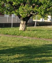 Bossut Multi-Services image 15