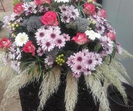 Les Fleurs De Calicie image 6