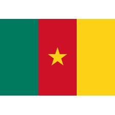 Mission permanente de la République du Cameroun