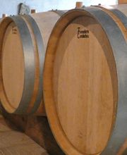 Papin Anthony EARL image 6