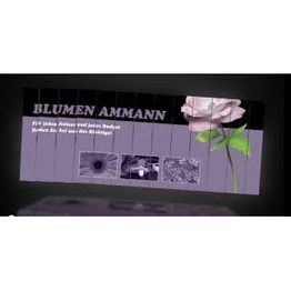 Blumen Ammann