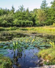 LES JARDINS SOTHYS image 8