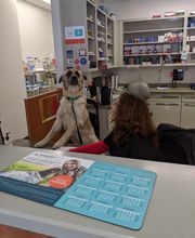 Bridge Veterinary Hospital image 2