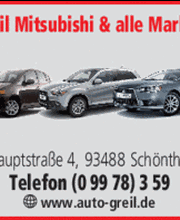Auto Greil Bild 1