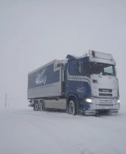 Casty Transporte Bild 3