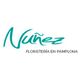 nunez-logo.jpg