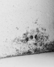 Huber Stefan Zertifizierter Bild 3