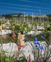 Cave des Bernunes SA Bild 1