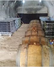 Vignoble Tévenot image 6