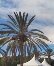 VIDEOACTIVO SERVICIOS AUDIOVISUALES imagen 10