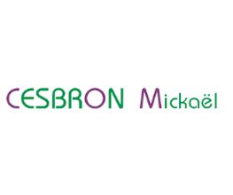 Cesbron Mickaël image 9