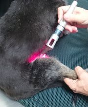 Clínica Veterinaria Don Can imagen 4