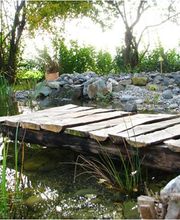 Hatt Gartenbau Bild 3