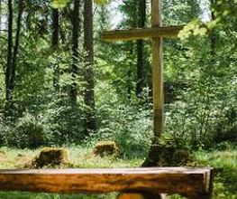FriedWald Hegau Bild 1