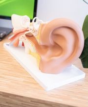 Die Hör-Insel GmbH Bild 1