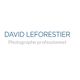 Leforestier David