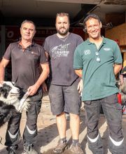 MOTRIO EYCHENNE AGENT SARL image 9