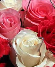 Grimandi Fleurs image 1