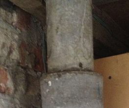 Soremab image 2