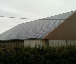 Metalbac image 2