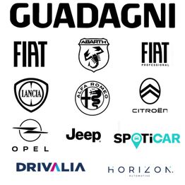 Guadagni Spa Concessionaria Auto logo