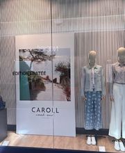 Caroll image 7