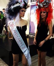 Gallery Cliente