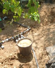 Evtp Jardins EURL image 4