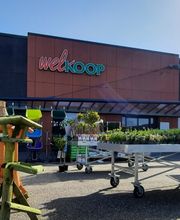 Leek Welkoop NF