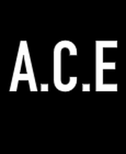 Ace-Anjou Couverture Etanchéite SARL image 1