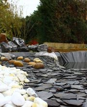 SENS Paysage image 7