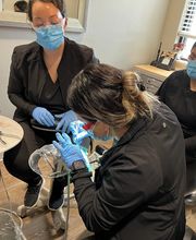 Waco Dental Assistant School image 6