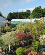 Jardinerie Champs Fleurs image 15