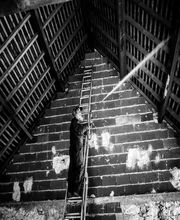 S.T.A.D Société de Travaux d'Assainissement et de Désinfection image 19