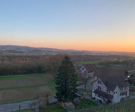Restaurant Weinberg Warth Bild 4