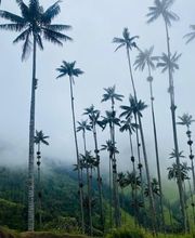 TO PACK N' GO image 11