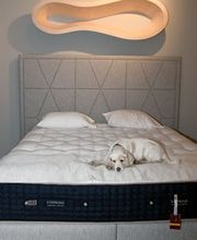 passion for beds. Bild 8