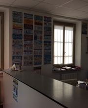 Gallery Cliente