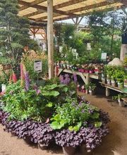 VillaVerde Bourg-en-Bresse image 6