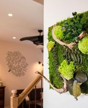 Nature d'eaux image 17