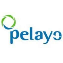 seguros-pelayo-logo.jpg