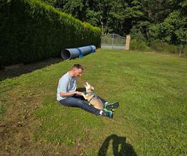 Murmure canin image 7