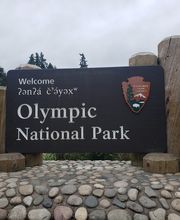 Port Angeles Realty image 12